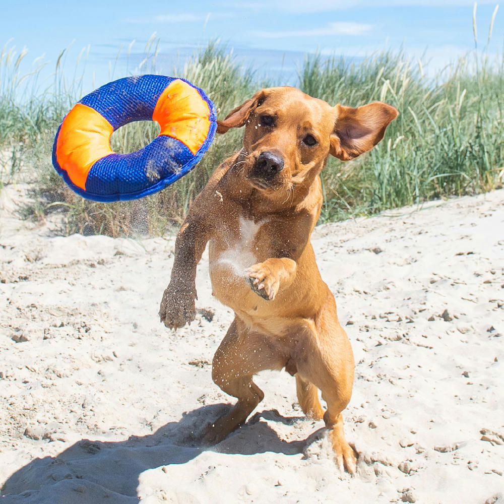 Hundespielzeug Flying Disc S